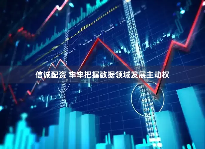 信诚配资 牢牢把握数据领域发展主动权